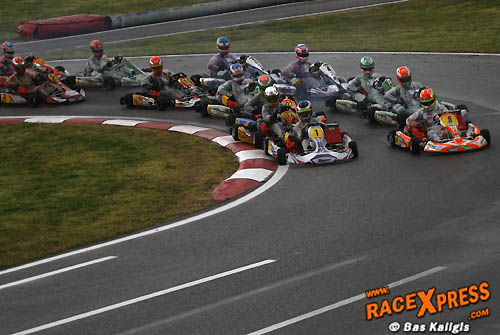 Nyck de Vries op pole